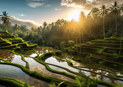 Ontdek Welk Stukje van het Balinese Paradijs Perfect Bij Jou Past